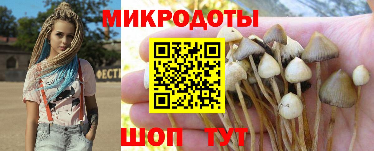 Менделеевск  Псилоцибиновые грибы Psilocybe  Вход с VPN 